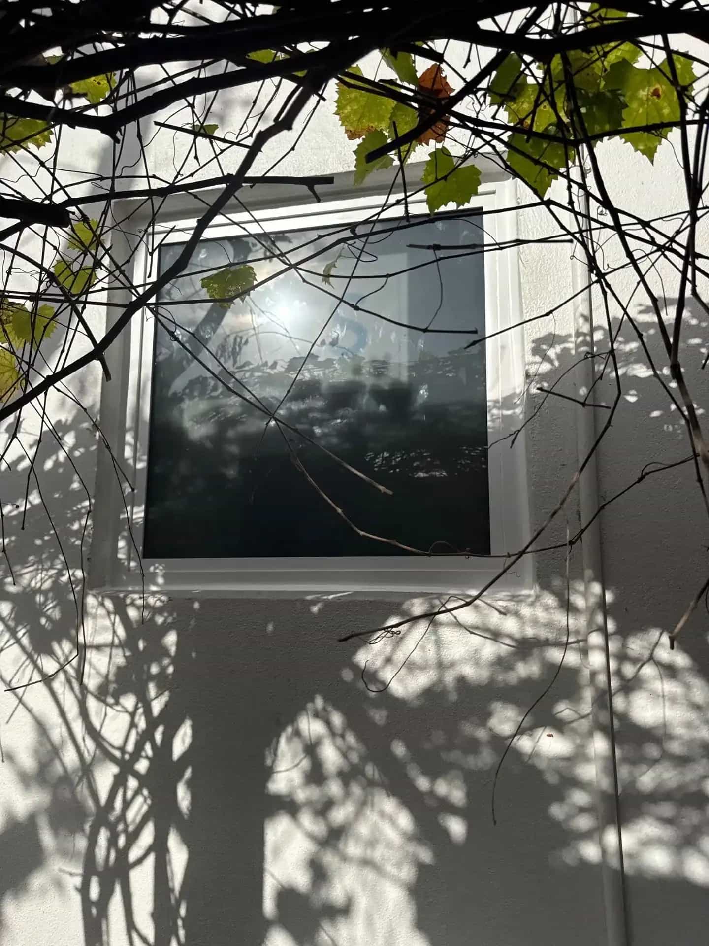 White-framed impact window on stucco home exterior Palm Beach Gardens