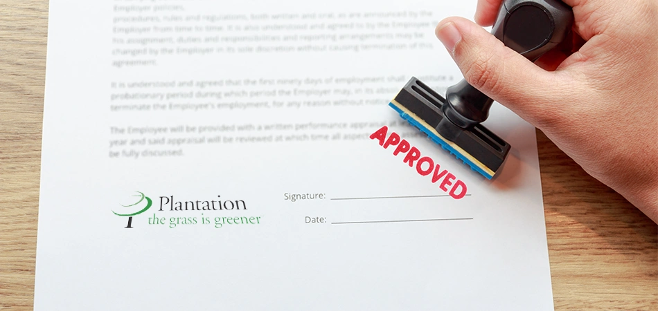 Plantation impact window permit guide
